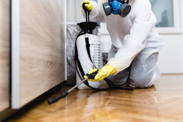 Best Flea Control Services  in Fort Thompson, SD