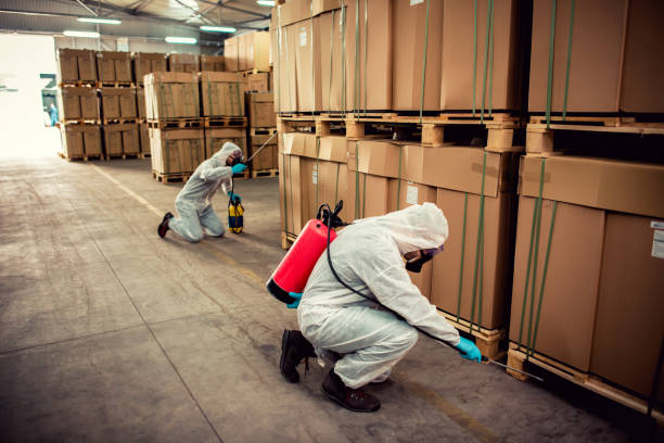Flea Control Services in Fort Thompson, SD