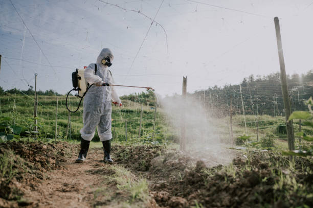 Best Pest Removal Services  in Fort Thompson, SD