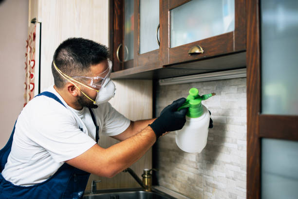 Best Mosquito Control Services  in Fort Thompson, SD