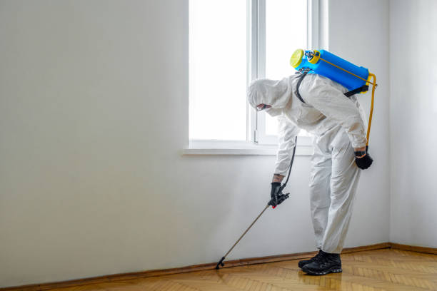 Best Affordable Pest Control Services  in Fort Thompson, SD