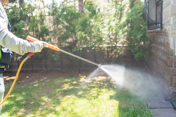 Best Termite Control Services  in Fort Thompson, SD