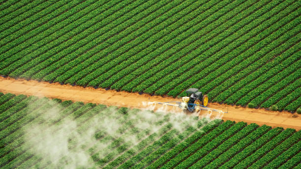 Best Best Pest Control Companies  in Fort Thompson, SD