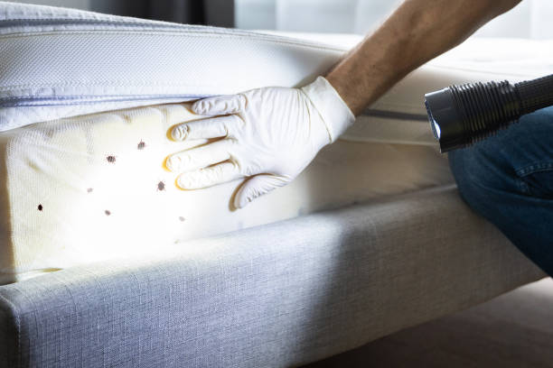 Trusted Fort Thompson, SD Pest Control Experts