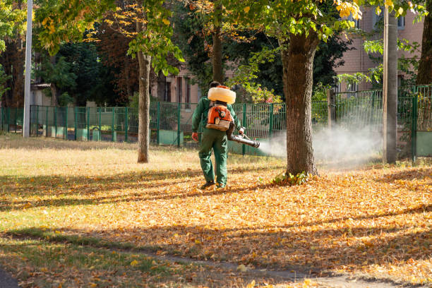Best Rodent Control Near Me  in Fort Thompson, SD