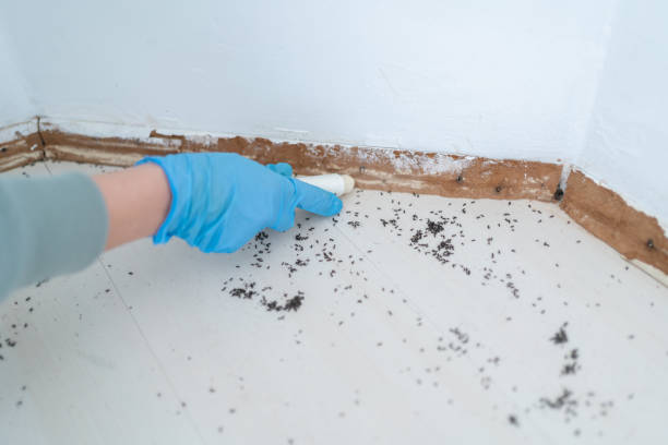 Best Commercial Pest Control Services  in Fort Thompson, SD