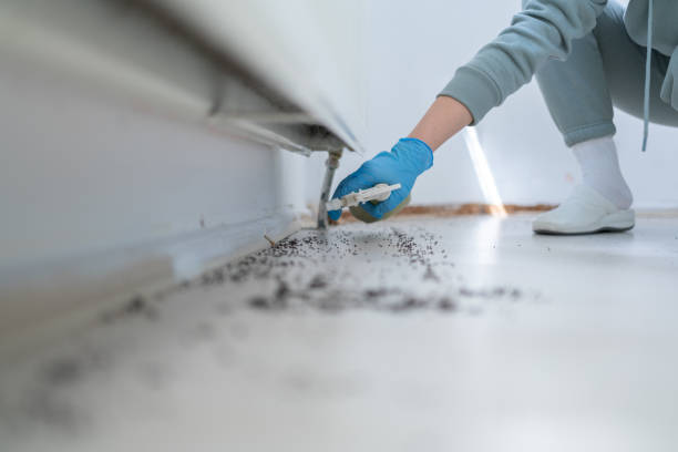 Best Residential Pest Control  in Fort Thompson, SD