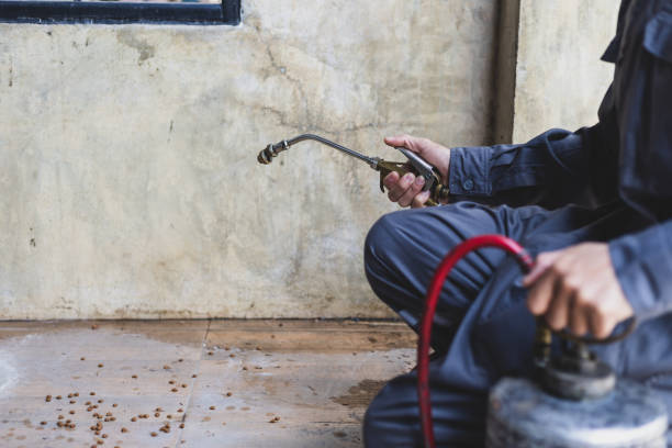 Best Best Pest Control Companies  in Fort Thompson, SD