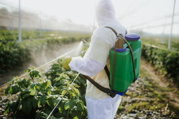 Best Cockroach Control Services  in Fort Thompson, SD